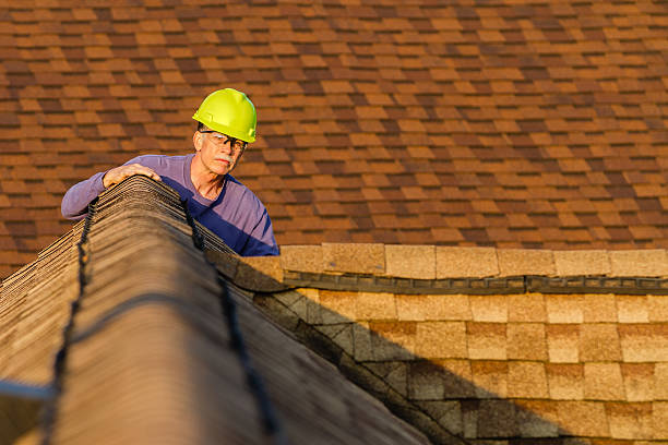 Best Roof Gutter Cleaning  in Port Jefferson, NY